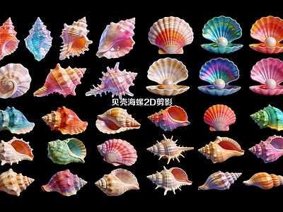 梦幻水彩风摆件组合 海螺贝壳2D剪影
