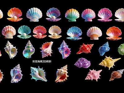 炫彩写实风摆件组合 海螺贝壳2D剪影