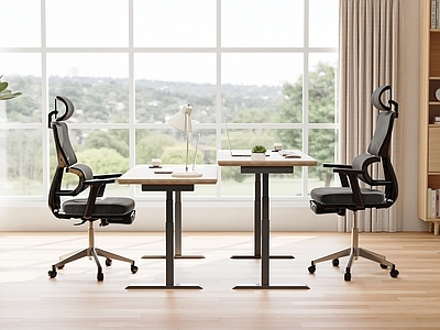 北欧办公椅 办公桌 办公椅 书房