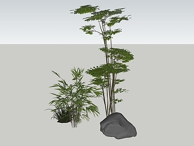 新中式植物组合 南天竹 植物