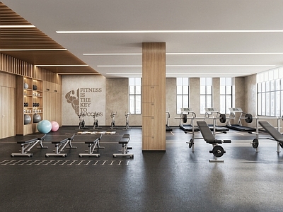 现代简约健身房 现代健身房 学校健身房 室内健身房 健身中心