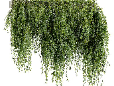 垂挂绿植景观垂直绿化