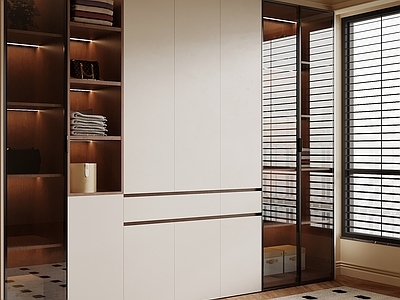 现代简约衣帽间 衣柜