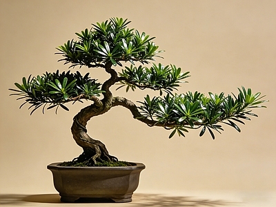 新中式盆栽 盆栽 植物 造型 小品 摆件