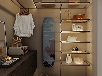 现代简约衣帽间 现代衣帽间