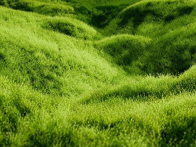 自然主义微地形 草地