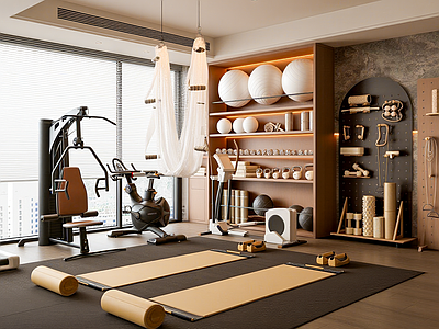现代其他娱乐室 家居健身房 健身运动器材