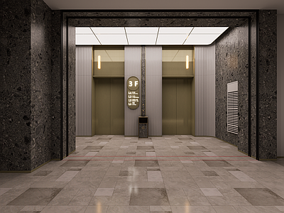 现代轻奢电梯厅 极简电梯厅 电梯厅 电梯前室