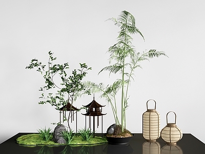 新中式植物组合 现代景观植物  盆景 盆栽  植物花草