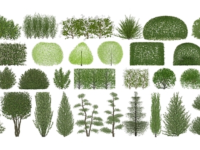 现代主义景观植物组合 树篱组合 3D绿篱 绿篱