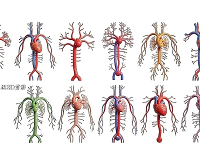 科学插画风医疗器材 神经系统2D剪影