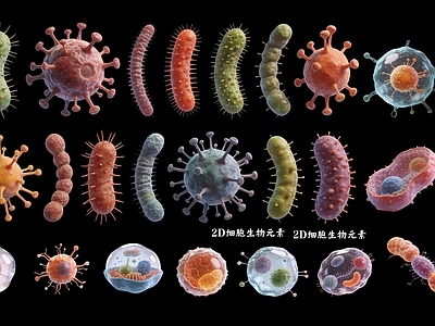 生物拟真医疗器材 生物细胞2D元素