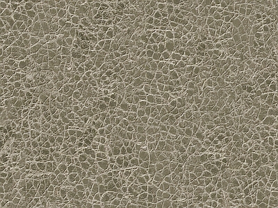 粗纹皮革