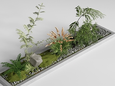 日式禅意庭院小品 现代景观植物  景观花池  植物组团 植物堆