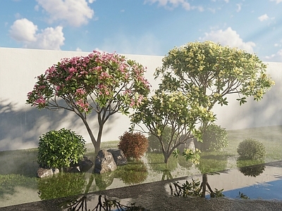 新中式景观别墅庭院 鸡蛋花树石头    植物组合
