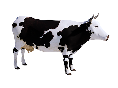 低多边形 Low   Poly 风格家禽动物 牛 奶牛