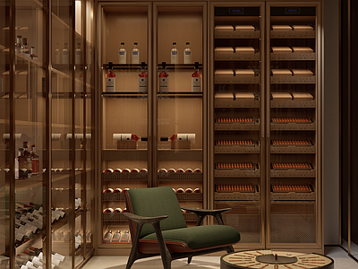 现代酒窖 酒窖 酒柜 雪茄柜 雪茄 雪茄房