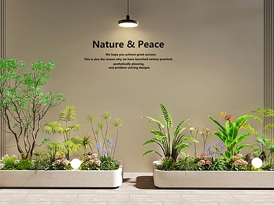 现代简约花箱  植物堆 植物组合   室内景观 景观造景 花坛花池