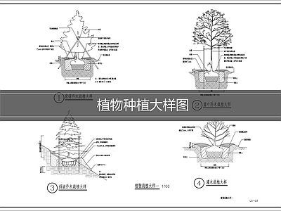 植物图例库 植物种植大样 绿化大样 施工图