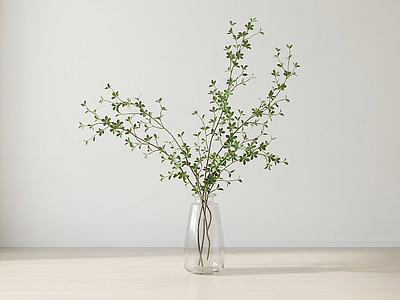 艺术绿植灌木