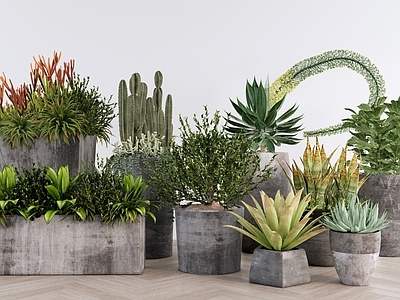 现代简约植物组合 热带植物组合盆栽 室内景观盆栽组合 庭院植物景观 花盆花钵花卉 多肉棕榈植物