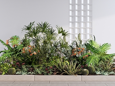 现代简约植物组合 庭院植物景观组合 灌木花草组合 公园植物景观 花卉花坛花池 热带植物组合团组