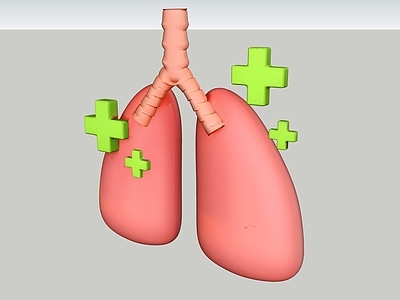 极简主义医疗器材 器官 人体 肺部 肺