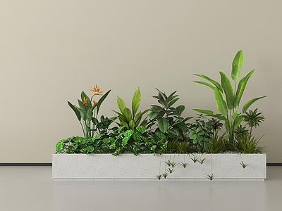 现代简约花箱 现代绿植花箱