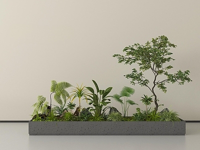 现代极简植物组合 现代绿植 绿植堆