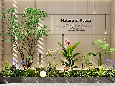 现代简约花境 室内景观  景观造景 庭院景观  植物组合  花草组合