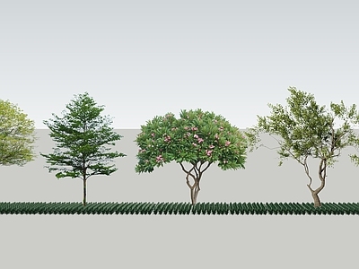 现代简约乔木 2D植物 乔木 景观树 行道树