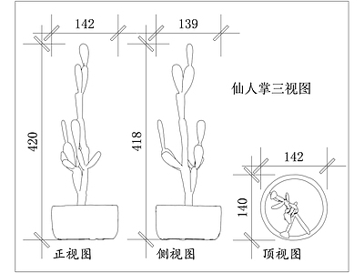 现代综合植物图库 仙巴掌 霸王树 火焰掌 龙舌 观音刺 施工图