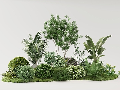 现代自然风植物堆 植物
