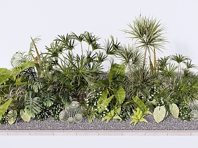 热带植物景观植物组合 庭院植物景观组合 灌木花草组合 花卉花镜花坛花池 热带植物群组 室内植物景观