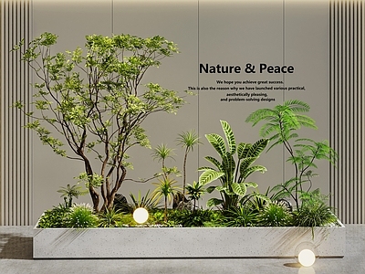 现代简约植物堆 植物堆 室内景观 景观造景 花坛花池 植物组合