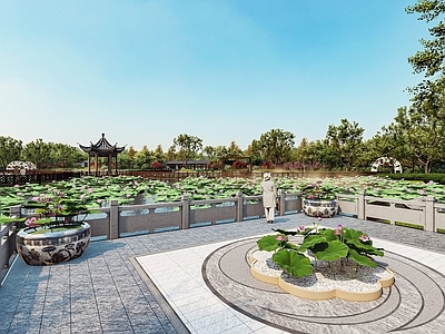 新中式景观景观公园 滨水公园 荷花公园 荷花塘 人行栈道