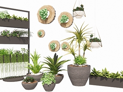 现代简约植物组合 盆栽景观绿植