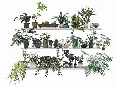 北欧风盆栽 盆栽景观绿植