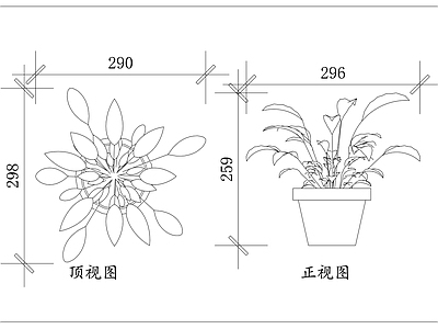 现代综合植物图库 山丹 强瞿 中庭 摩罗 百合蒜 施工图