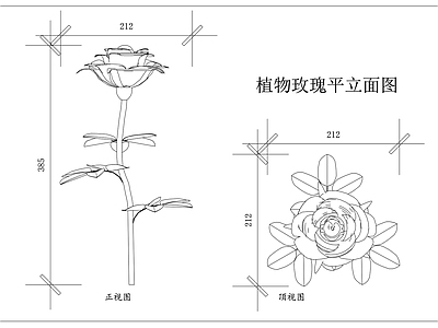 现代综合植物图库 徘徊花 笔头花 湖花 刺玫花 Rosa 施工图