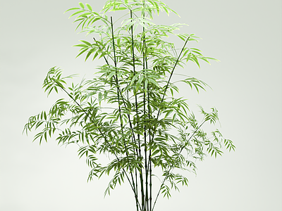 新中式盆栽 宋式竹子盆栽 新中式禅意花瓶 禅意竹子摆件 竹子花瓶