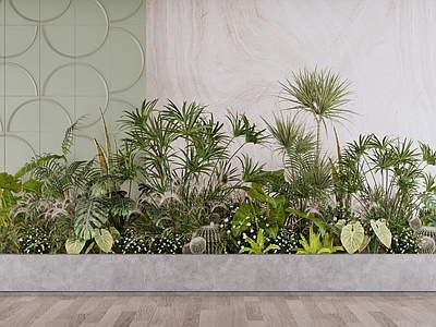 现代简约植物组合 室内绿植景观盆栽 庭院花园植物组合 绿植盆栽盆景 灌木花草组合 热带植物群组