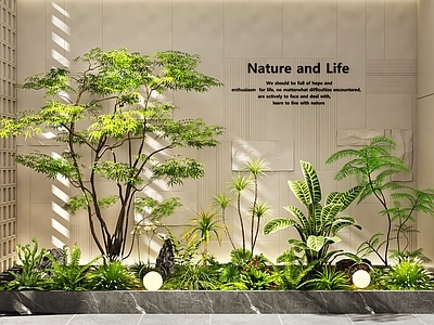现代简约植物堆 植物堆 植物造景 花池植物景观 室内景观 景观树