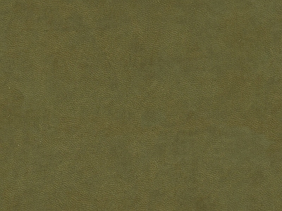 现代细纹皮革