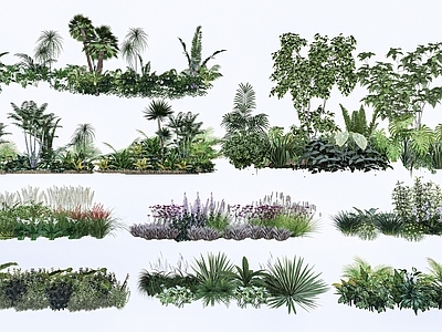 热带植物造景花境 现代灌木丛  花镜 植物组合 绿篱 植物隔离带