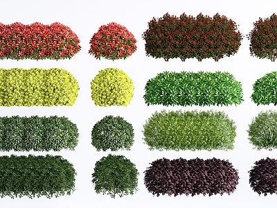 现代主义景观花境 现代灌木丛  植物组合 绿篱  植物隔离带