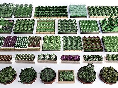 现代田园风农作物 现代蔬菜 农作物 景观植物 菜园 菜地 蔬菜组合