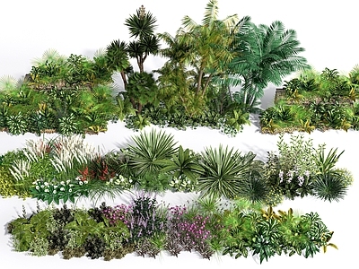 热带植物景观植物组合 现代植物组合 花镜 灌木丛  花丛 花草组合