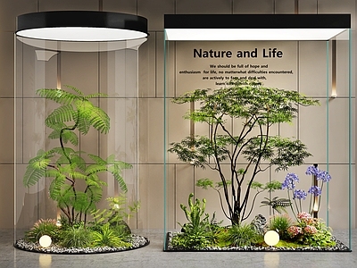 现代微景观植物堆 植物堆 景观造景 花草组合 室内景观 庭院景观