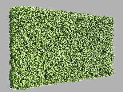 现代绿植墙 植物墙 绿篱 灌木绿篱 植物隔断 植物背景
